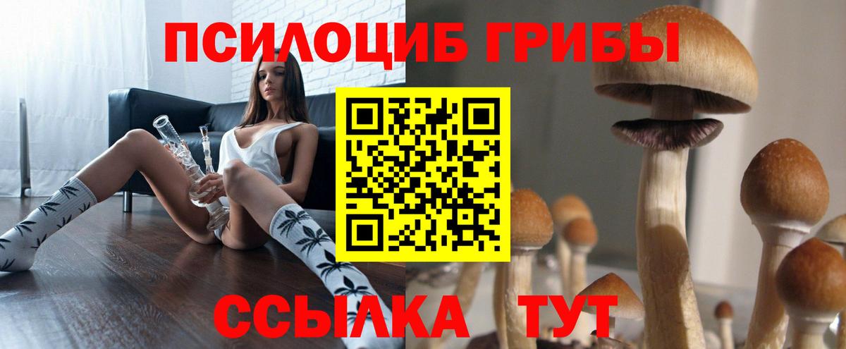 Галлюциногенные грибы Psilocybe Гуково