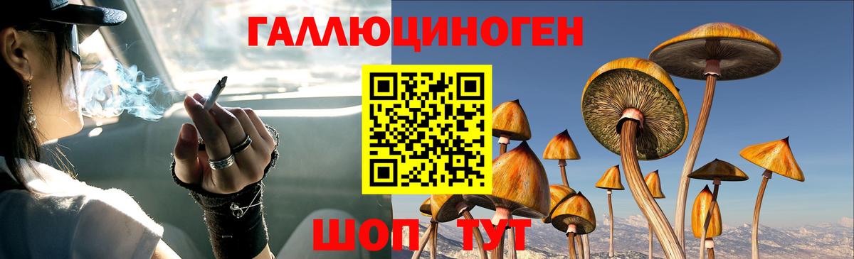 Галлюциногенные грибы мухоморы  Вход с VPN  Галлюциногенные грибы мицелий  Гуково 